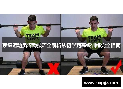 顶级运动员深蹲技巧全解析从初学到高级训练完全指南